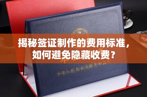 米林揭秘签证制作的费用标准，如何避免隐藏收费？