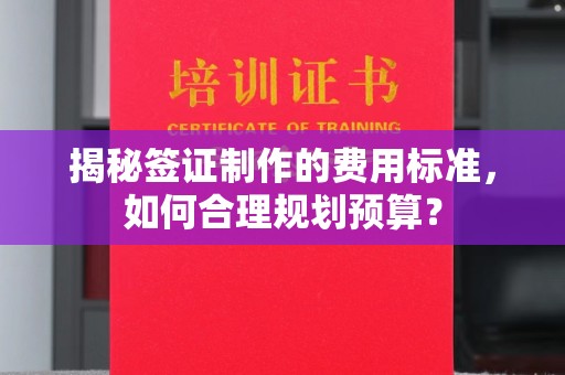 米林揭秘签证制作的费用标准，如何合理规划预算？