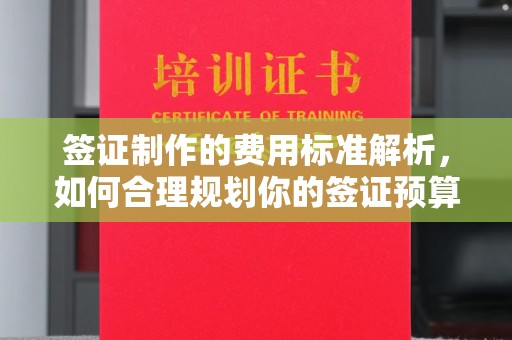 米林签证制作的费用标准解析，如何合理规划你的签证预算